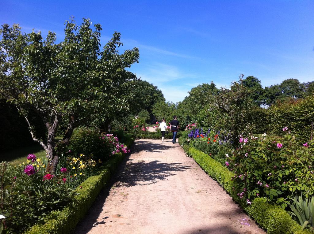 Chateau Des Briottieres Champigne Exterior photo